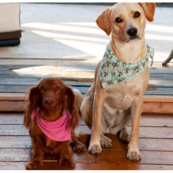 Tropical bandana 2-pack for medium & large dogs! Coco + Rebel palm tree print. - Picture 2 of 4